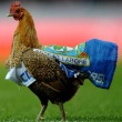 What Really Happened To The Blackburn Chicken