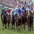 All The Latest Horse Racing Offers